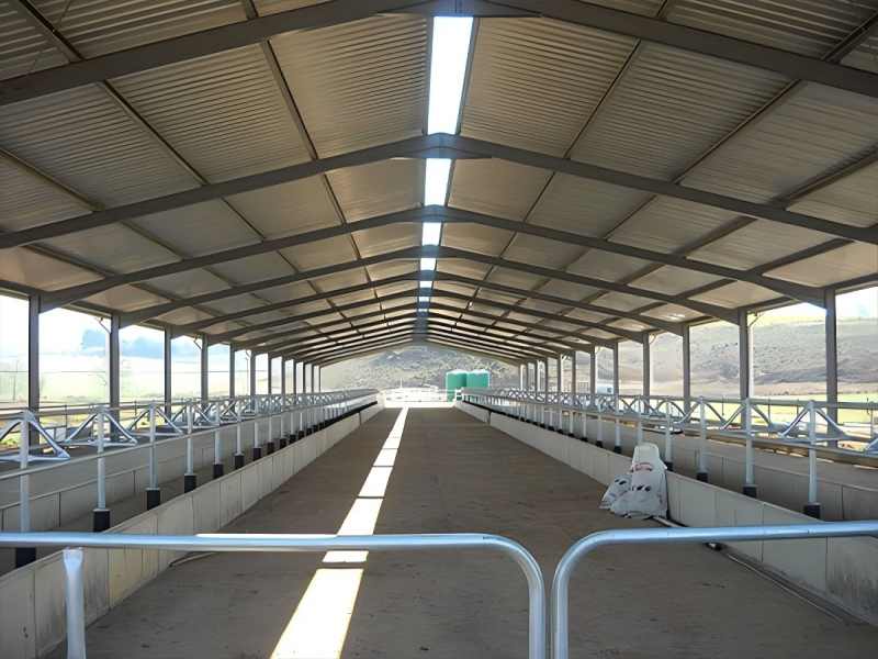 cow shed